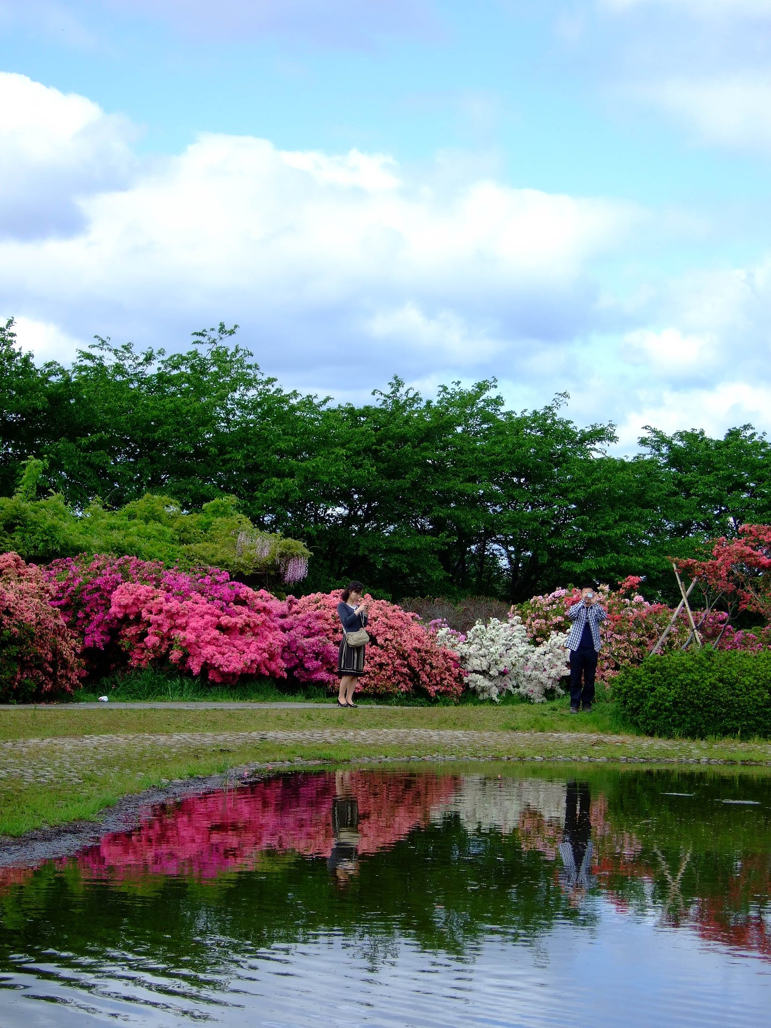水面に写る・・・