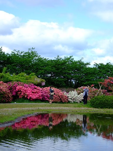 水面に写る・・・