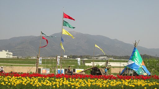 チューリップフェア・秘密基地