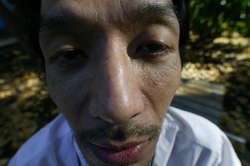 デジ侍 御苑で自然体の土屋先生