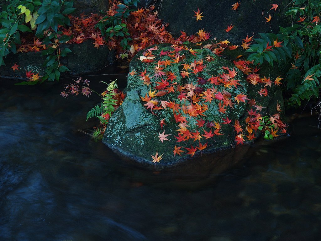 唐紅に・・・