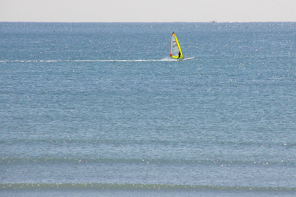 春の海
