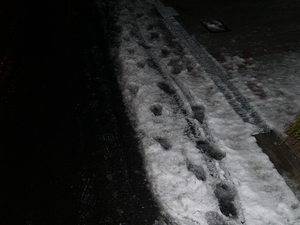 大阪市内積雪〜