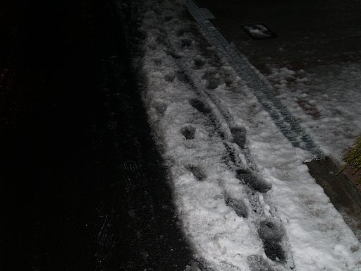 大阪市内積雪〜