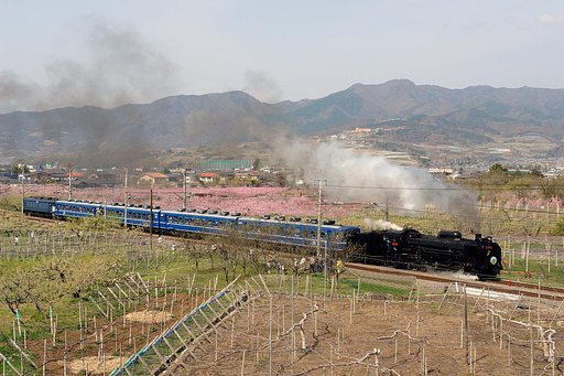 ＳＬ山梨桃源郷号　その２