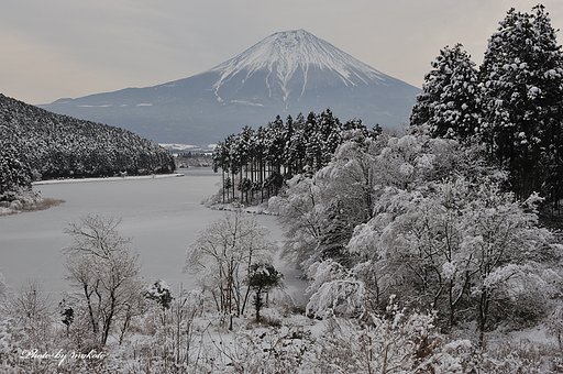 モノトーン