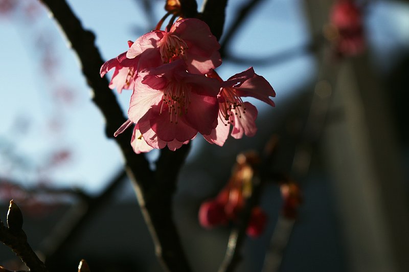 春の予感