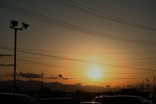夕日の輪