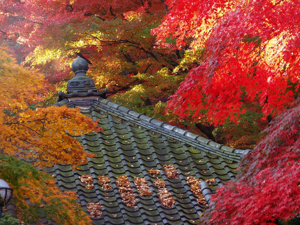なんとも派手な光景（２）
