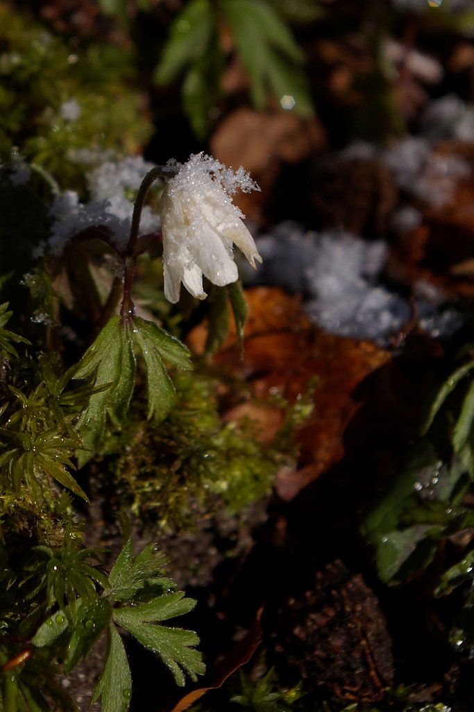 Between winter but spring.