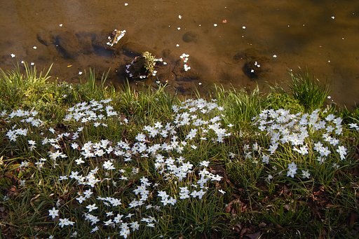 3月28日の写真