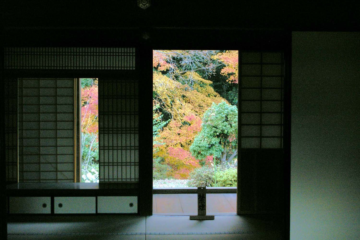 お寺の裏庭