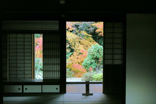 お寺の裏庭