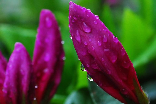 雨、水滴