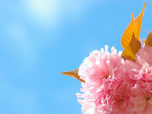 一年前の春