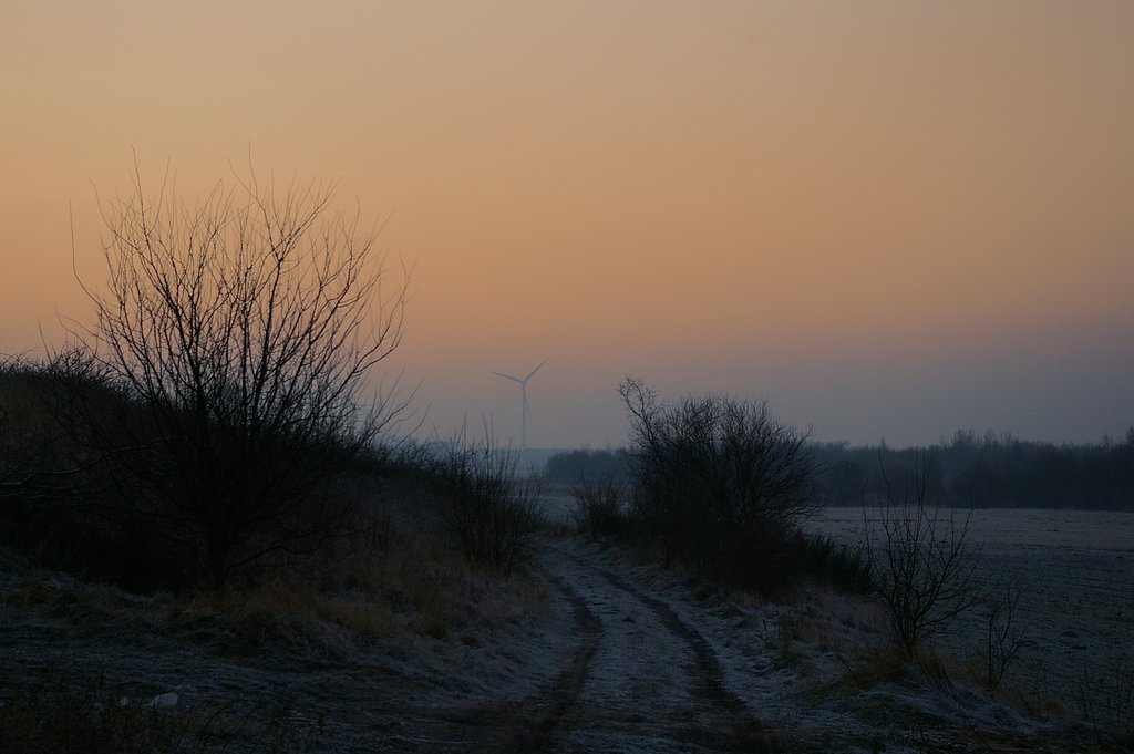 Frost about the morning