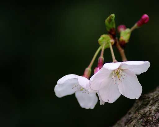 春愁