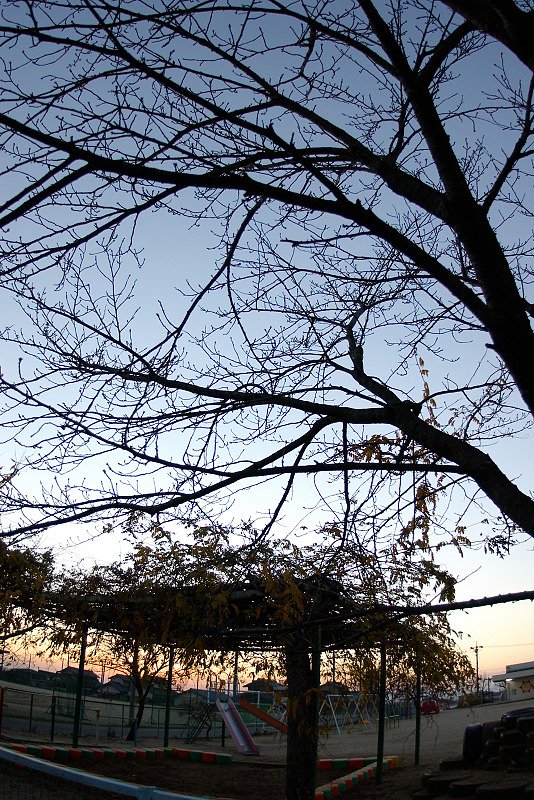 夕暮れの保育所