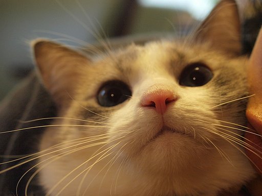 何だよ・・・