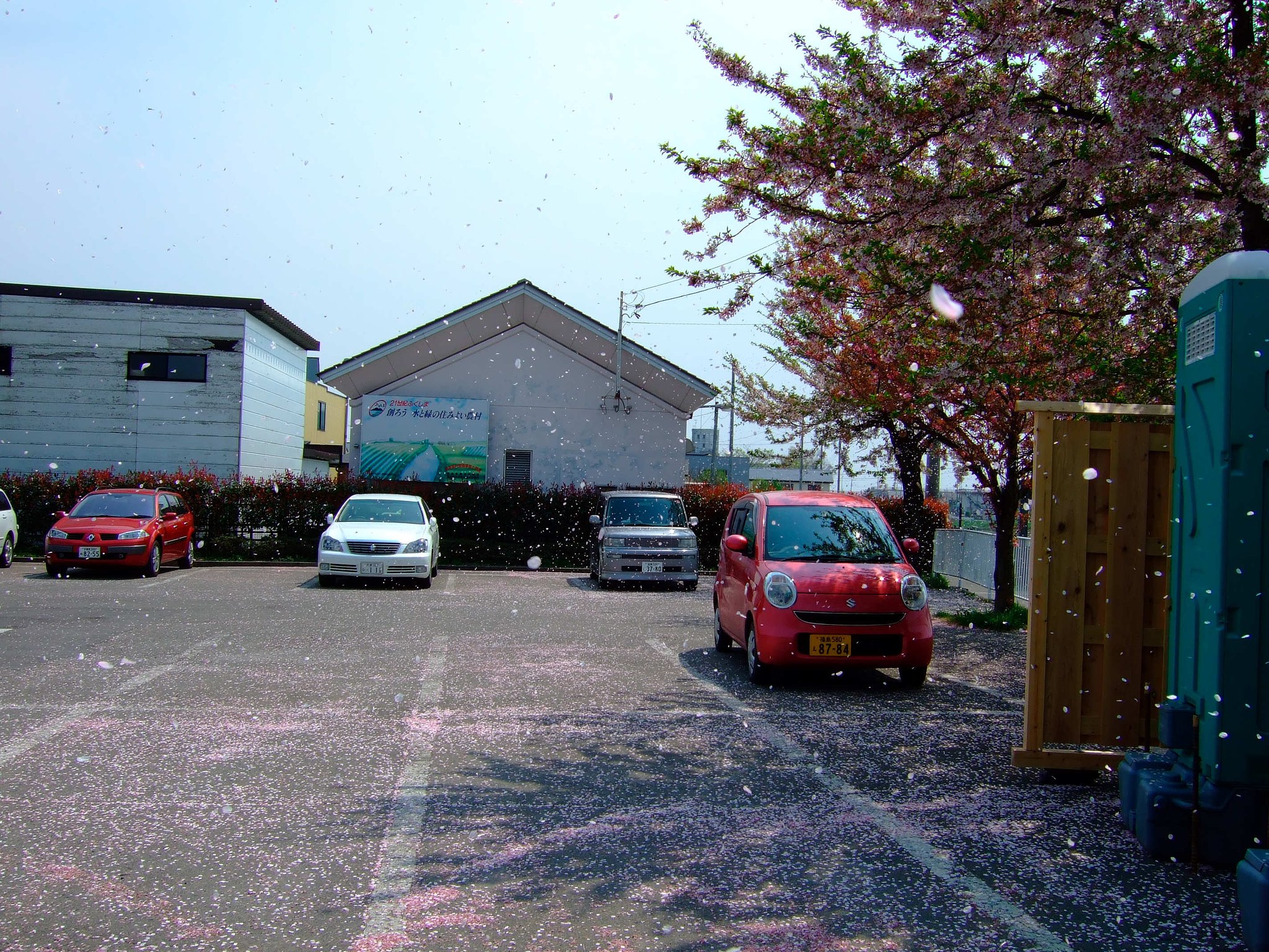 櫻吹雪・・・