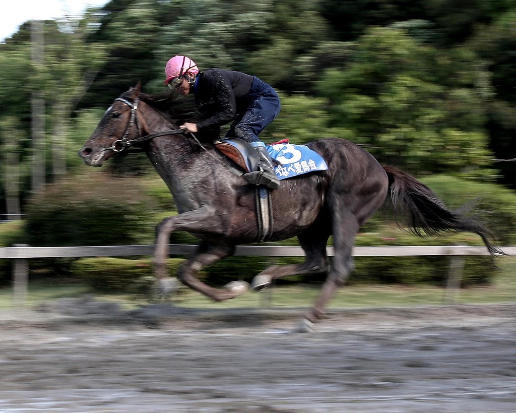 草競馬　５