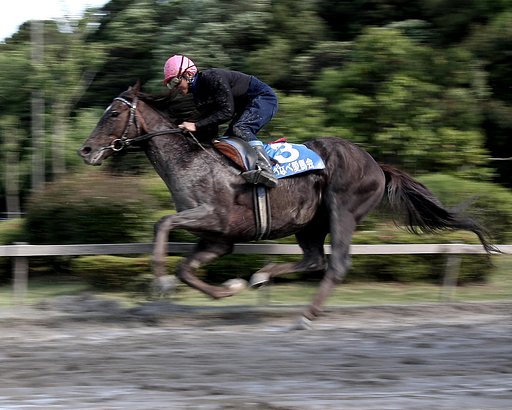 草競馬　５