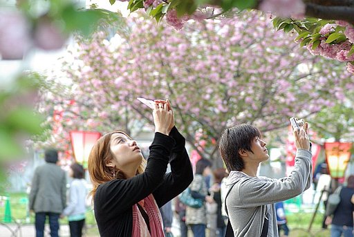 また来年