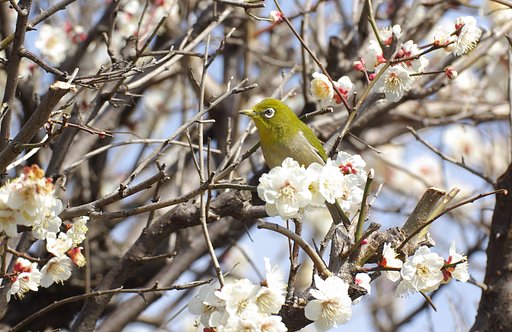 蜜に囲まれて