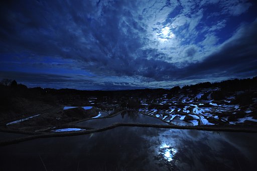 月夜の棚田
