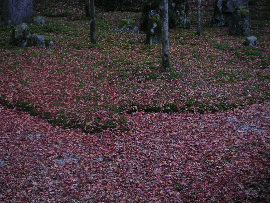 散紅葉