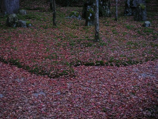 散紅葉
