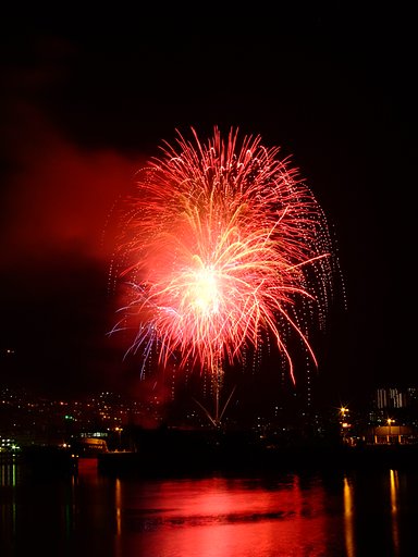 今年初の…