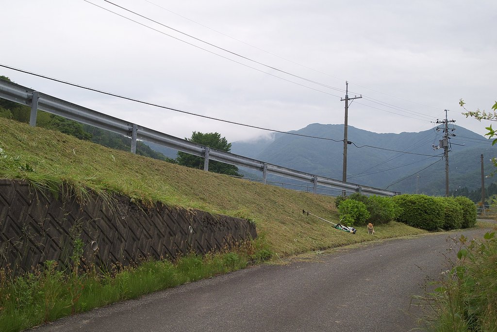 国道からむらの入口付近の草刈