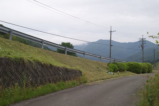 国道からむらの入口付近の草刈