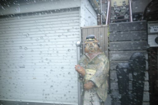 まねきたぬき