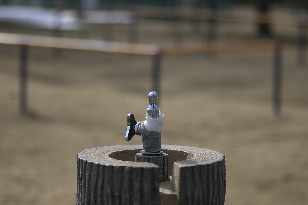 公園の番人