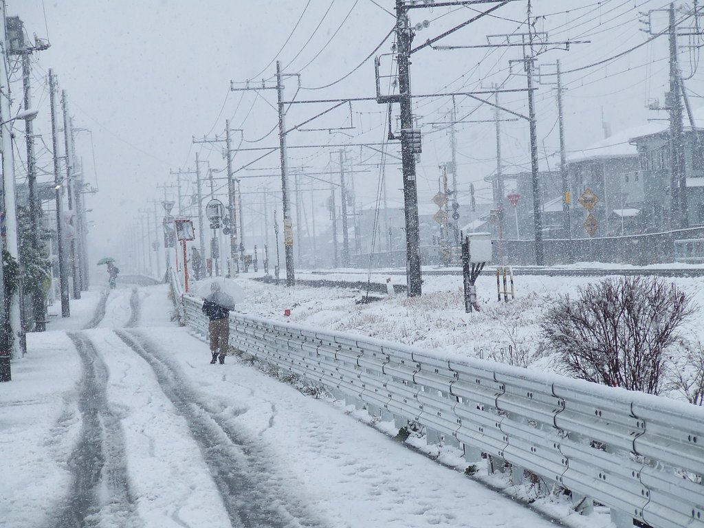 千葉の雪