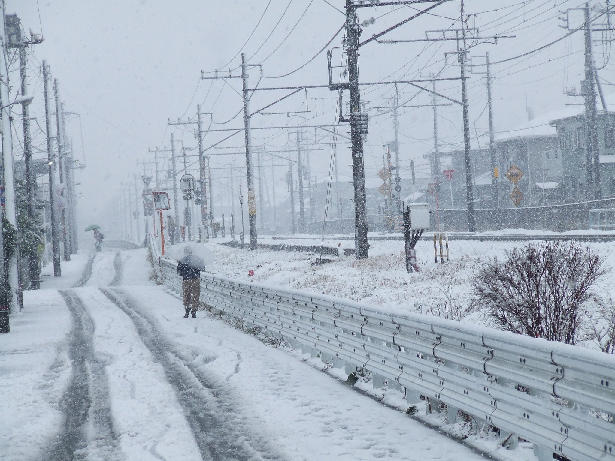 千葉の雪