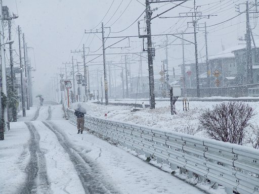 千葉の雪