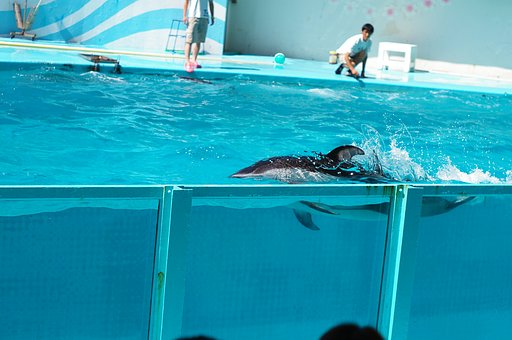 初めての投稿です