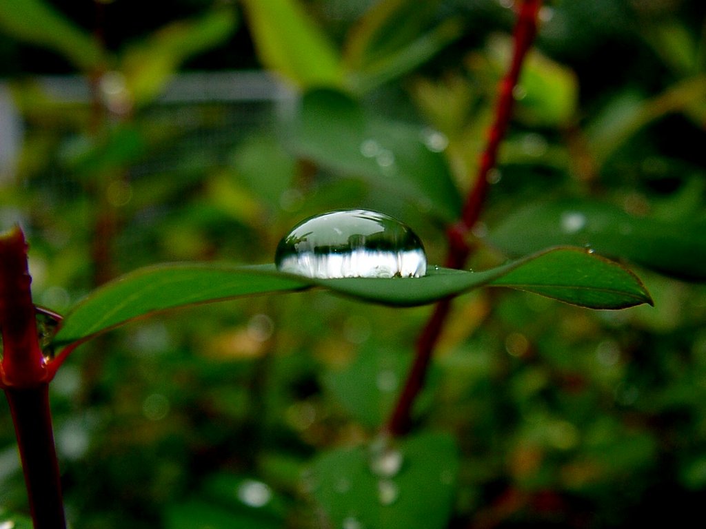 水滴　の中の蜃気楼