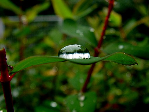 水滴　の中の蜃気楼