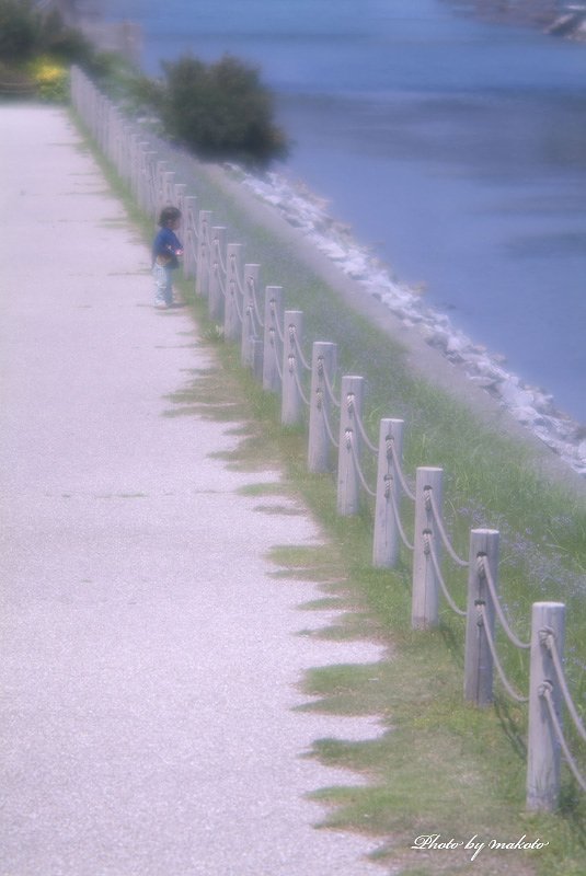 好奇心・・