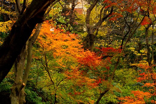 紅葉館