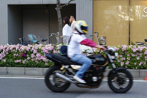 『緑』つつじ