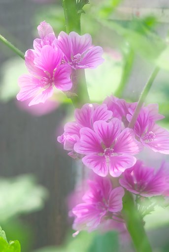 風が弱かったので
