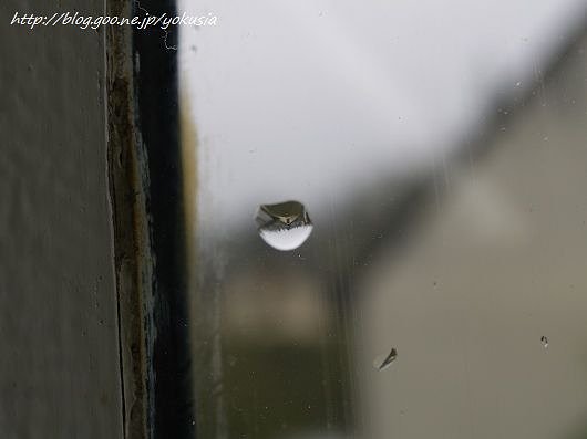 雨粒の向こう側