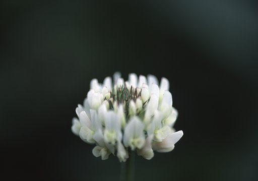 ぽつん
