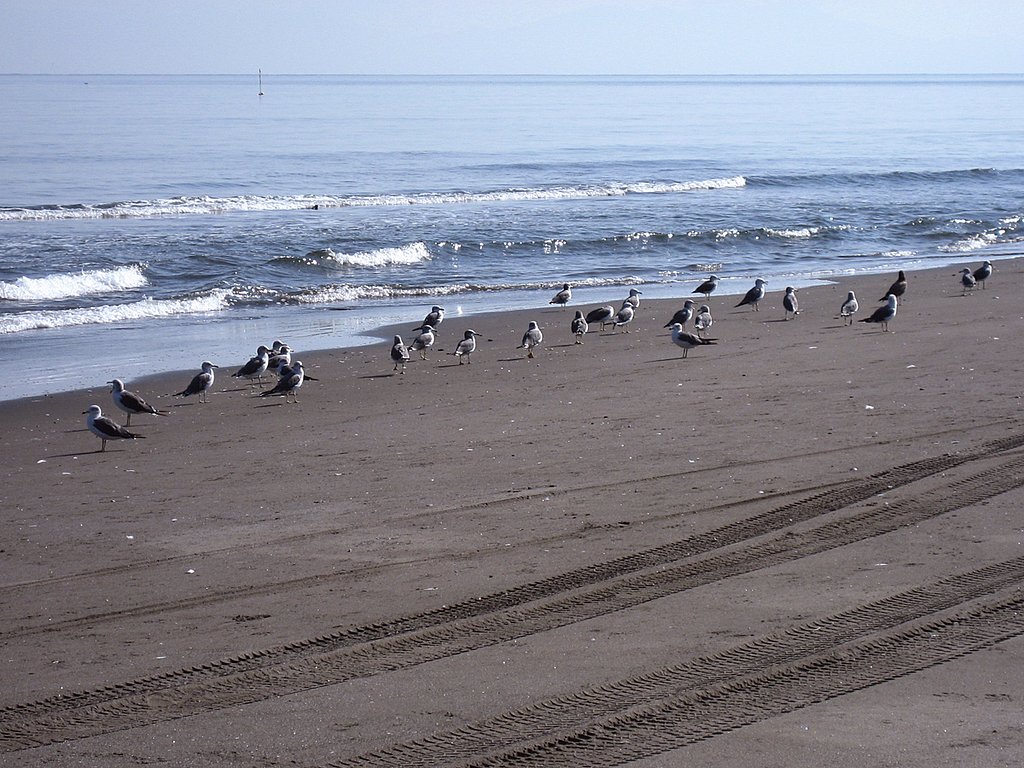 2006秋のオホーツク（在庫）