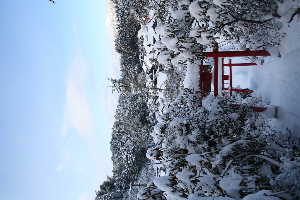 【赤】い鳥居が雪の中…